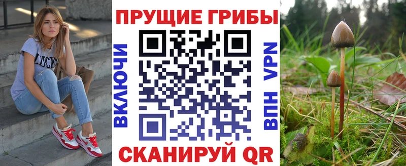 Купить где  Шелехов  Псилоцибиновые грибы Magic Shrooms 